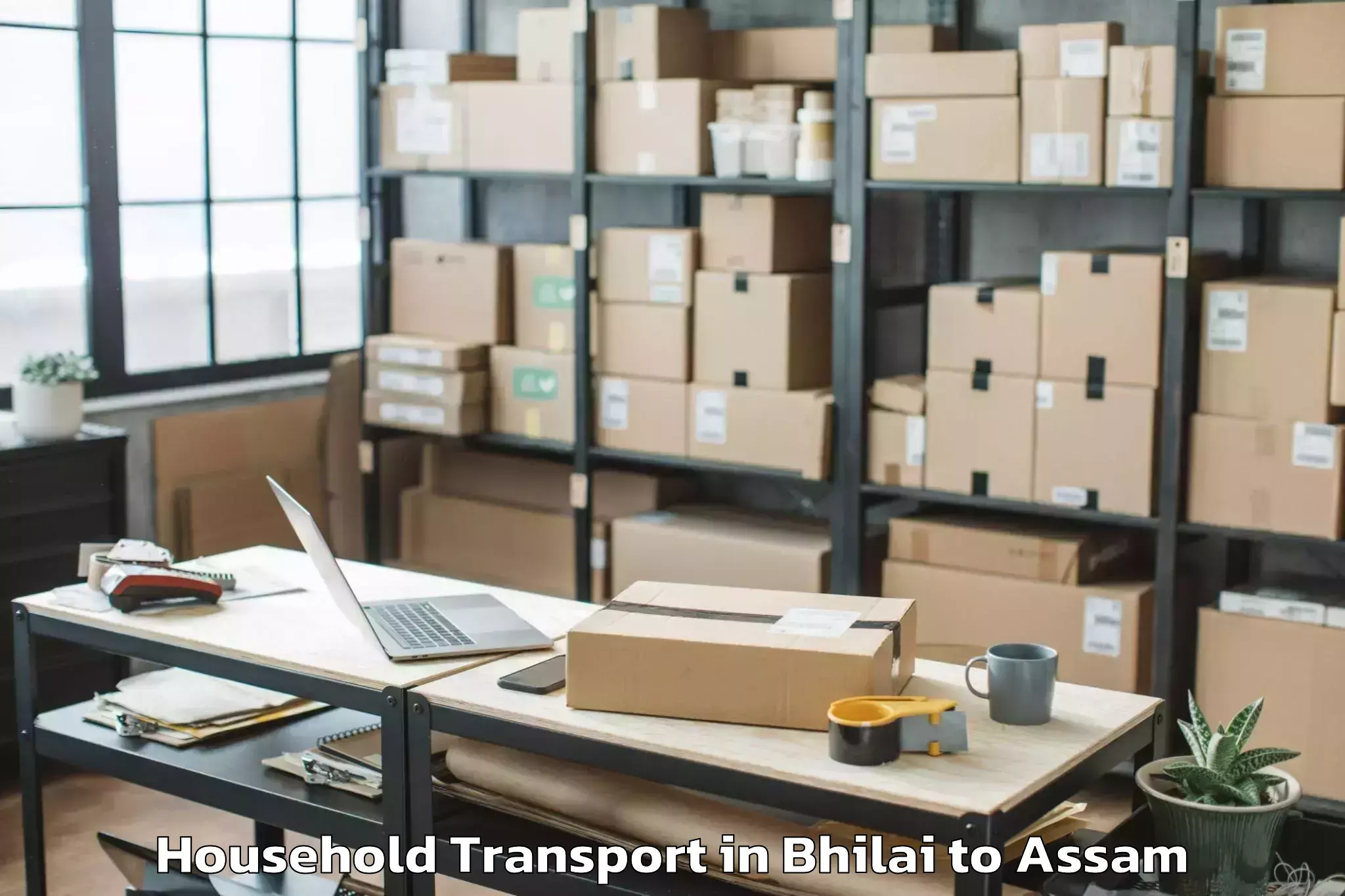 Hassle-Free Bhilai to Dibrugarh University Household Transport